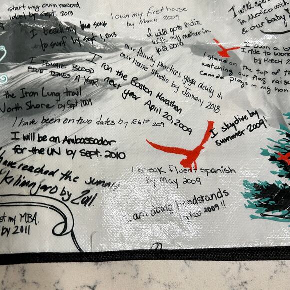 Lot of 3 Lululemon Athletica Reusable Shopping Bags Small White, VTG 2009, Red - Picture 12 of 14